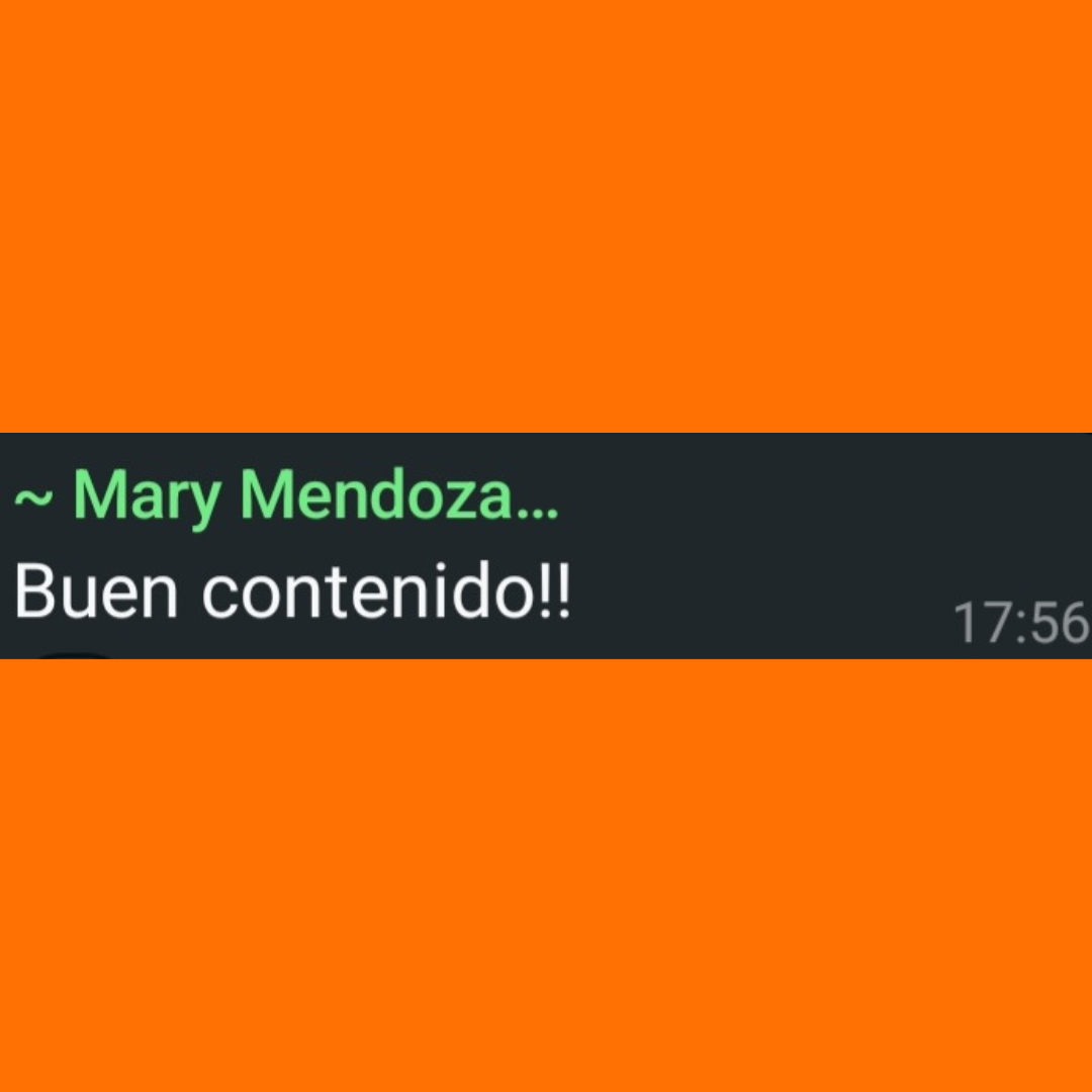 Opinión 1